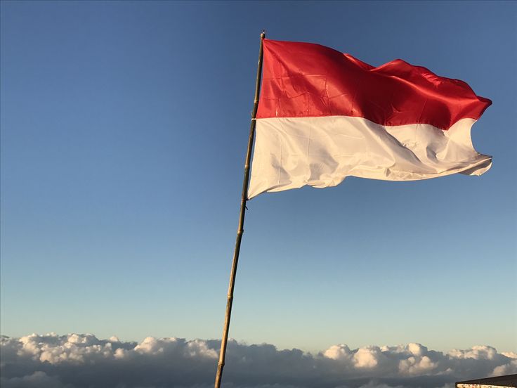 Gambar Artikel
